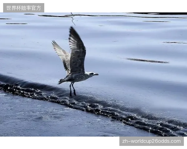 若小组赛遭遇高原赛场，伊拉克需提前进行适应性训练以应对低氧环境。